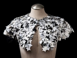 siemering_stars_01_web